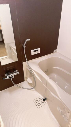 ｑｕｉｎｚｅ　ｌｉｅｕの画像