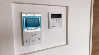 ｑｕｉｎｚｅ　ｌｉｅｕの画像