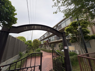 外観もきれいです