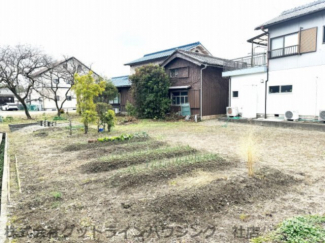 家庭菜園は約80坪あります