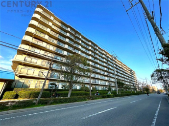 鉄骨鉄筋コンクリート造10階建