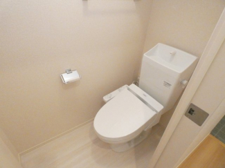 サワーフローラ