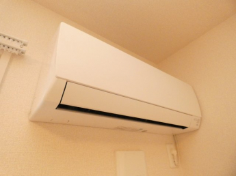 サワーフローラ