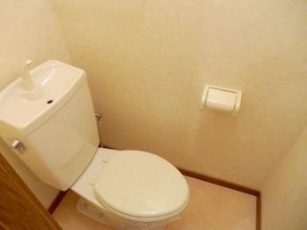 落ち着いたトイレです