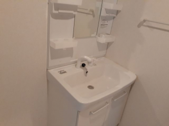 忙しい朝には欠かせない洗面所です