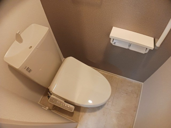 落ち着いた色調のトイレです