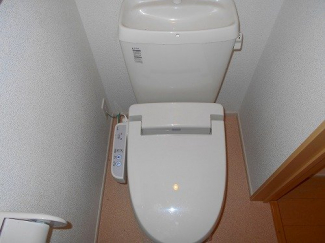 落ち着いた色調のトイレです
