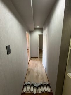 落ち着いた玄関です