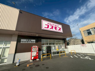 ディスカウントドラッグコスモス川原店まで808m