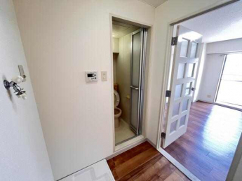 ヌーベルフルーブの画像