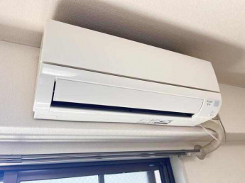 ヌーベルフルーブの画像