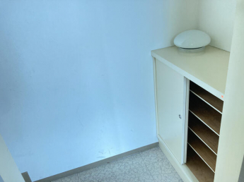 ヌーベルフルーブの画像