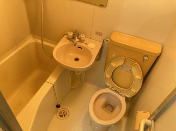 ヌーベルフルーブの画像