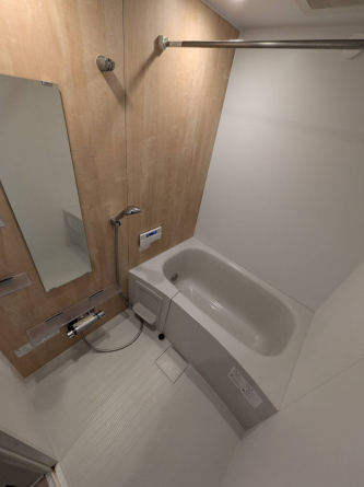 同タイプ写真です