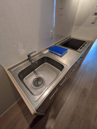 同タイプ写真です