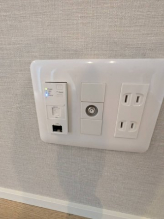 同タイプ写真です