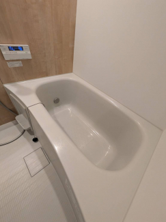 同タイプ写真です