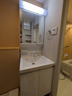 同タイプ写真です