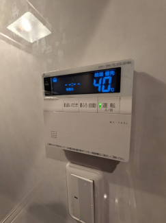 同タイプ写真です