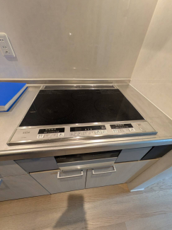 同タイプ写真です