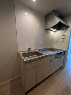 同タイプ写真です