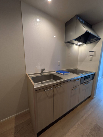 同タイプ写真です