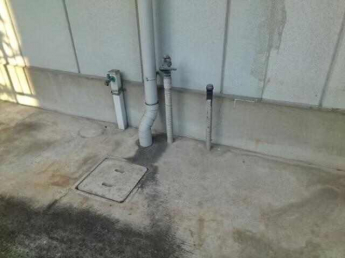 マリッチ今宿の画像