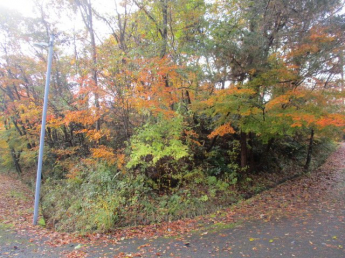 栃本ビラニュー神鍋売土地の画像