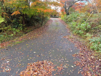 栃本ビラニュー神鍋売土地の画像