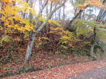 栃本ビラニュー神鍋売土地の画像
