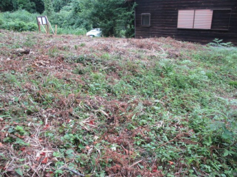 日高町栃本ビラニュー売土地の画像