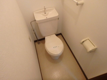 落ち着いた色調のトイレです
