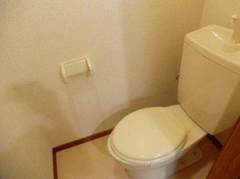 落ち着いた色調のトイレです