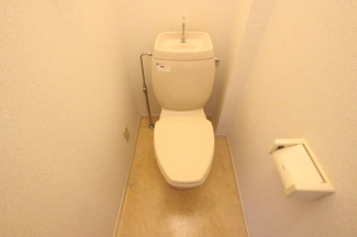 落ち着いた色調のトイレです