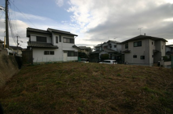 外観もきれいです