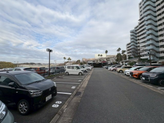 パームスクエアジェームス山 の画像