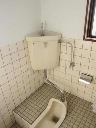 シャトレ２１の画像