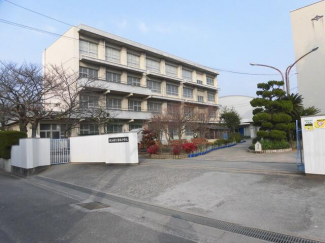 松山市立清水小学校まで706m