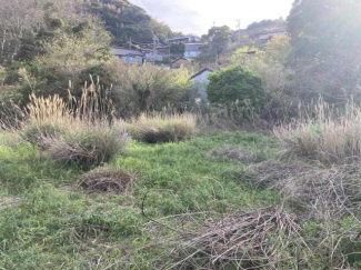 西宇和郡伊方町神崎の売地の画像