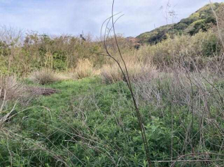 西宇和郡伊方町神崎の売地の画像