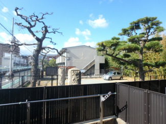 お部屋からの眺め