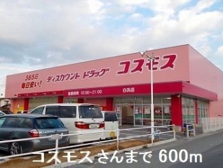 コスモスさんまで600m