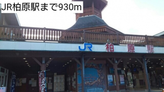 JR柏原駅まで930m