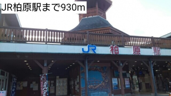 JR柏原駅まで930m