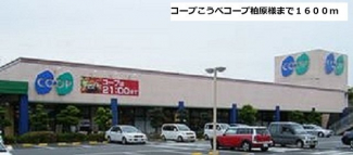 コープ神戸まで1600m