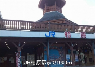 JR柏原駅まで1000m