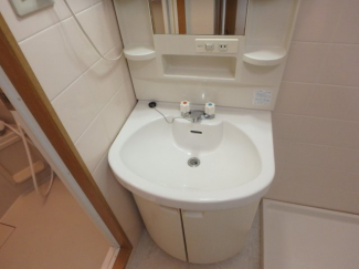 スペースが確保できる洗面所です