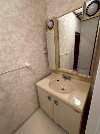 使いやすいレイアウトの洗面スペースは、朝の準備もスムーズ。限られた空間を有効活用し、日常の利便性をしっかり支えます。