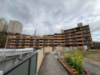 外観も気になるポイント