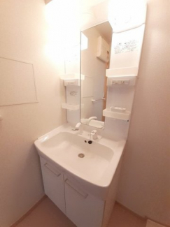 シャワー付き洗面台です